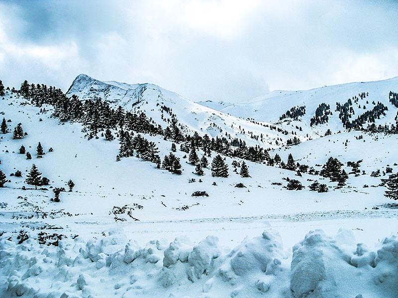 Ο Χελμός χιονισμένος, καθοδόν για το χιονοδρομικό κέντρο Καλαβρύτων